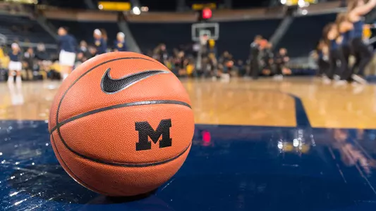 Nike Basketball Ball