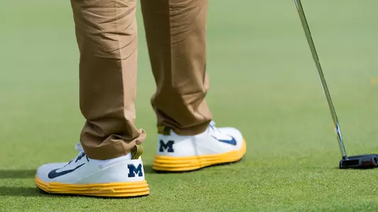 mens golf general shoes