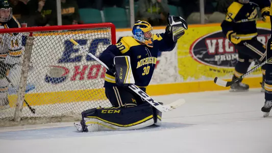 hayden lavigne action glove save