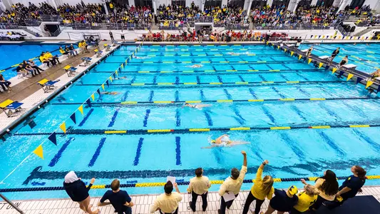 Women's Swimimg and Diving Pool Generic