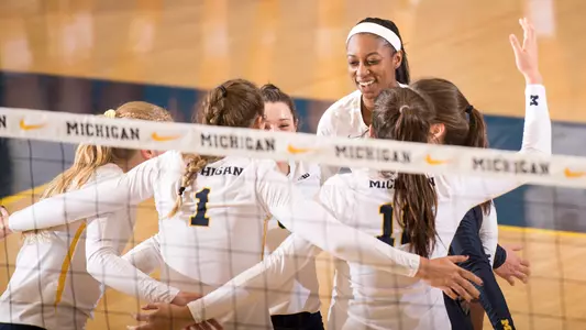 Volleyball Group Celebration Generic