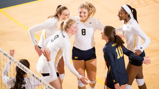 Volleyball Celebrates Generic