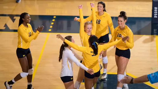 Volleyball Celebration