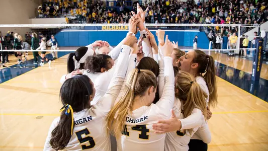 Volleyball Celebration