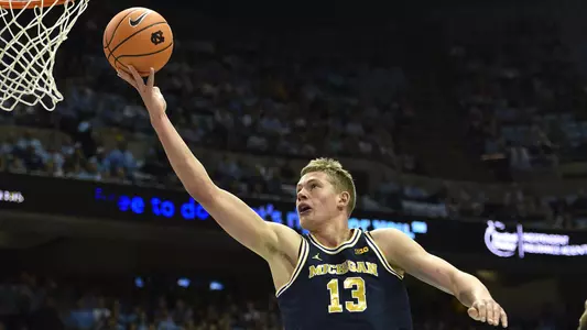 Moritz Wagner