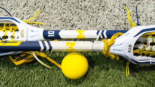 Women's Lacrosse Sticks Generic