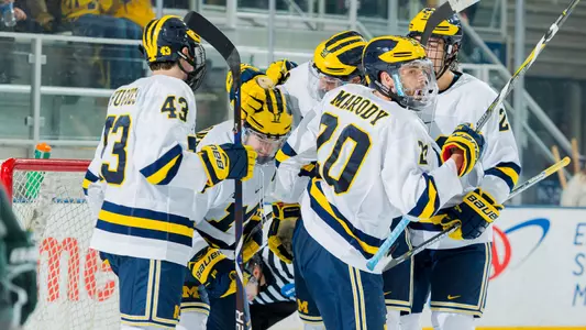 Ice Hockey Celebration