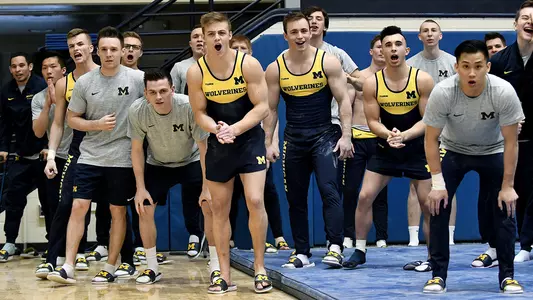 Men's Gymnastics generic