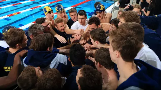 Men's Swimming & Diving generic