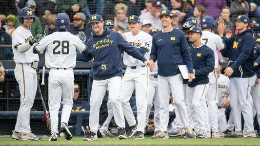 Baseball team celebration