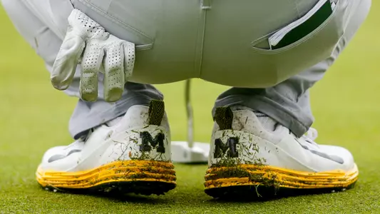 Men's Golf generic - team