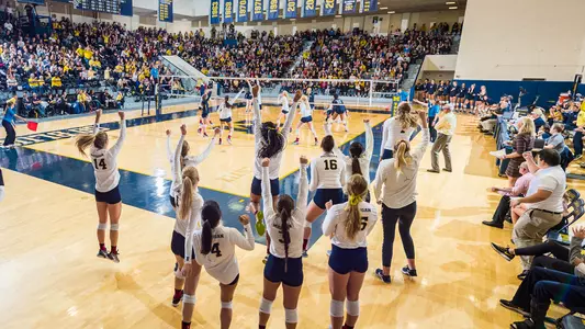 Volleyball celebration