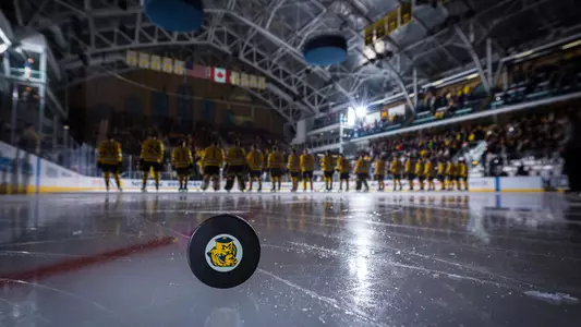 Ice Hockey generic