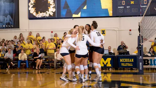 Volleyball celebration