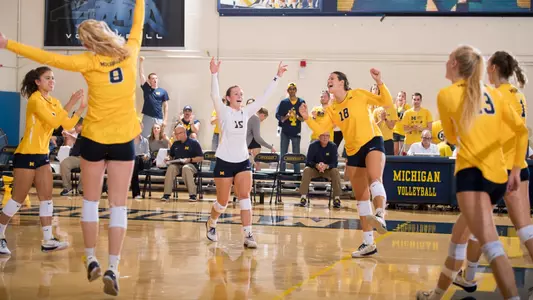 Volleyball Celebration