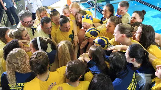 Swimming and Diving generic