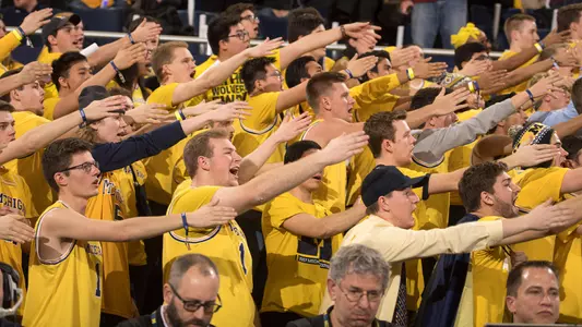 Men's Basketball Crowd Generic