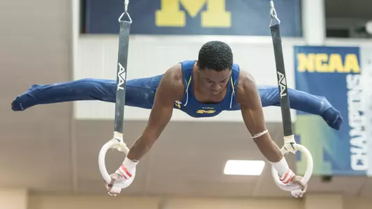 Men's Gymnastics Rings Generic