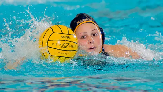 Water Polo Michigan Invite Generic