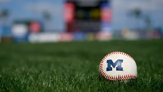 Baseball Michigan Ball Generic
