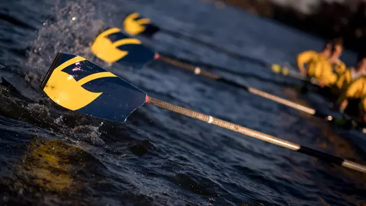 Rowing Poster Oars Generic