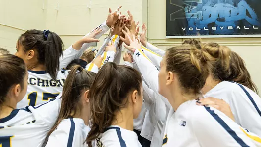 Volleyball Team Huddle Generic