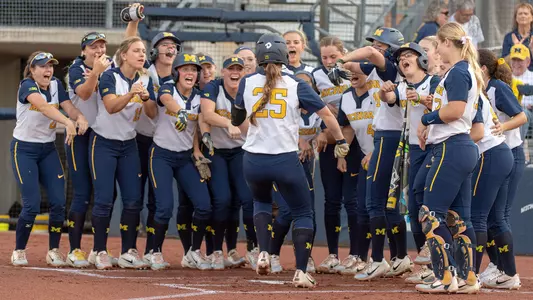 Softball Celebration