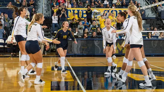 Volleyball Team Celebration Generic