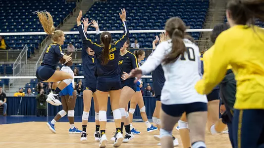 Volleyball Celebration Generic