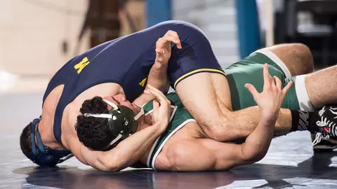 Wrestling Pin Generic