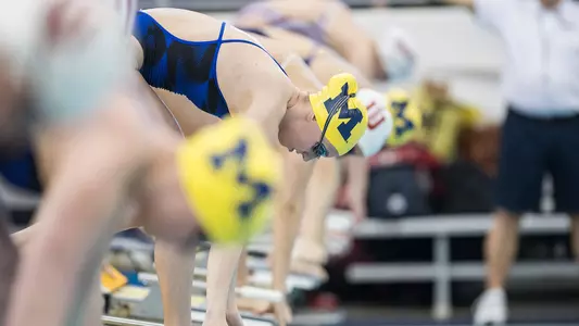 Women's Swimming & Diving generic