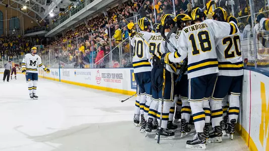 Ice Hockey Celebration Generic