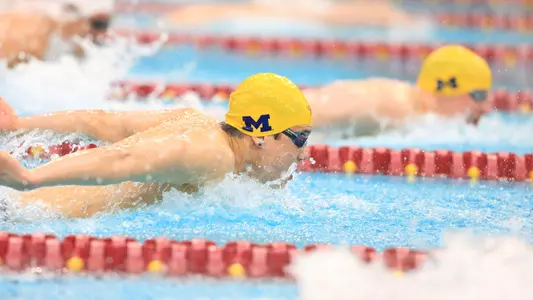 Men's Swimming & Diving Butterfly Generic