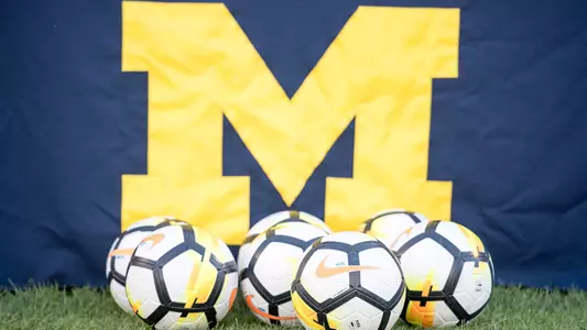 Women's Soccer Balls Generic