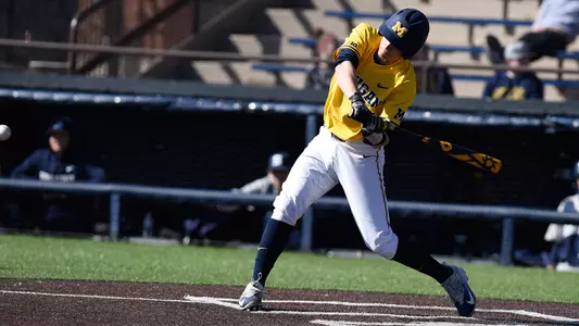 Baseball Swing Generic