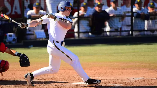 Baseball Swing Generic