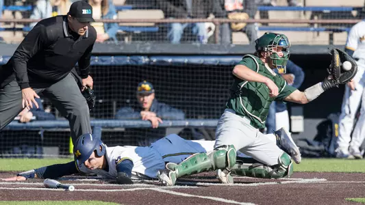 Baseball Sliding Generic