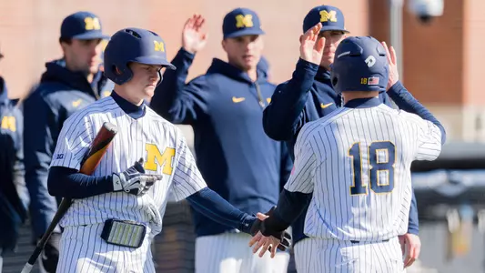 Baseball Celebration Generic