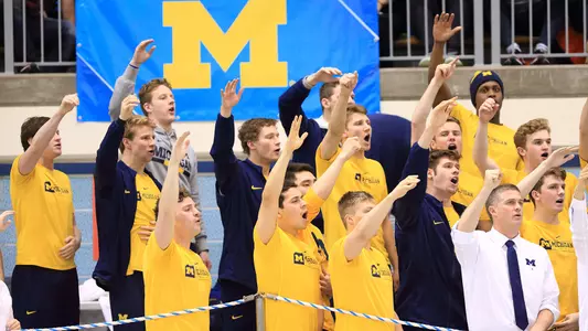 Men's Swimming & Diving Rooting Generic