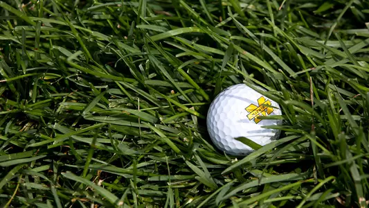 Men's Golf Ball in Grass Generic