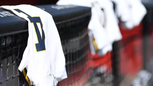 Baseball Weather Jersey Generic