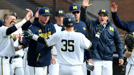 Baseball Celebration