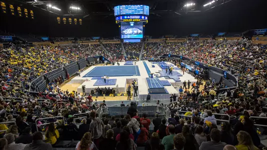 Men's Gymnastics at Crisler Center