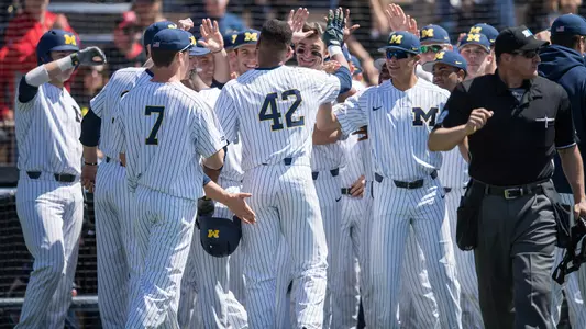 Baseball Team Celebration Generic