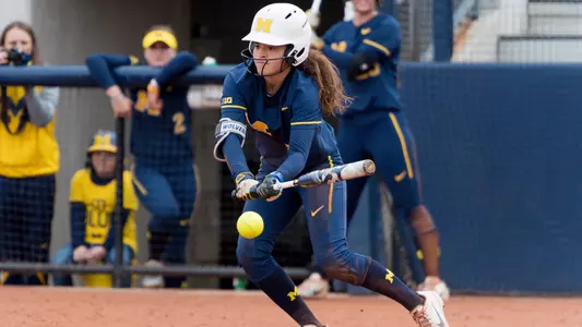 Softball Swing Generic