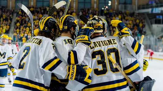 Ice Hockey Team Celebration Generic