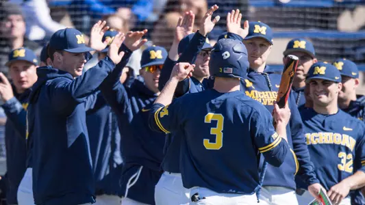 Baseball Team Celebration Generic