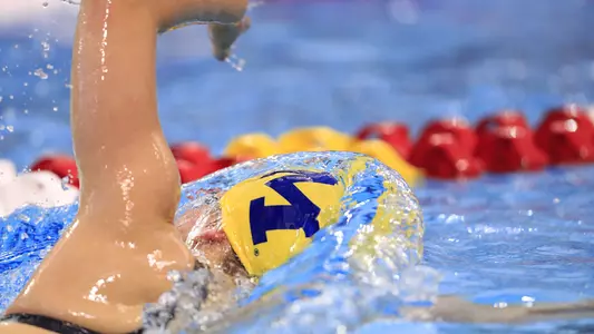 Women's Swimming & Diving generic