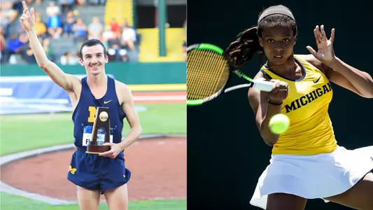 Ben Flanagan, Brienne Minor Graphic