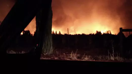 Alec Rennard Feature 5